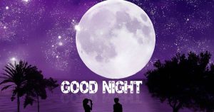 40+ Good Quotes to wish a Good Night End (Copy & Paste)