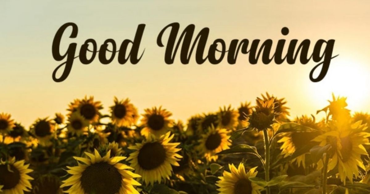 Good Morning Happy Sunday Message