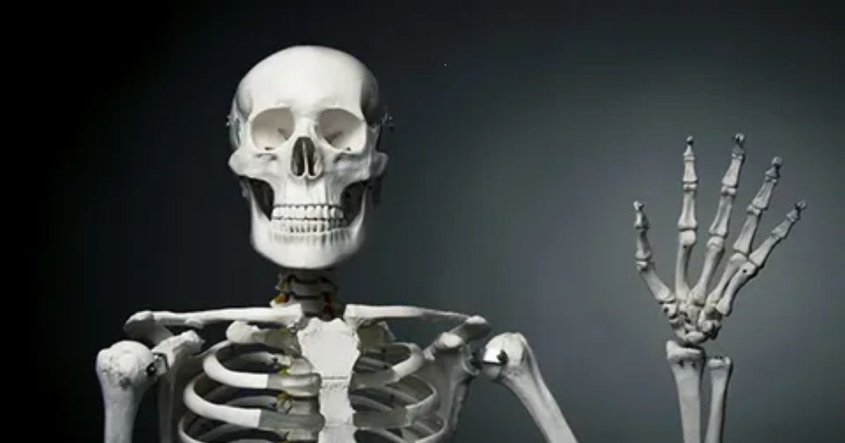 Scary Name for a Skeleton