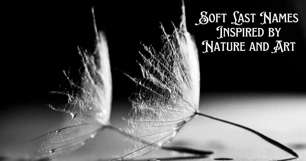 Soft Last Names Inspired by Nature and Art