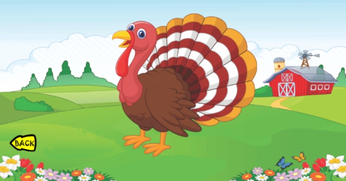 Cool Pet Names for Turkey