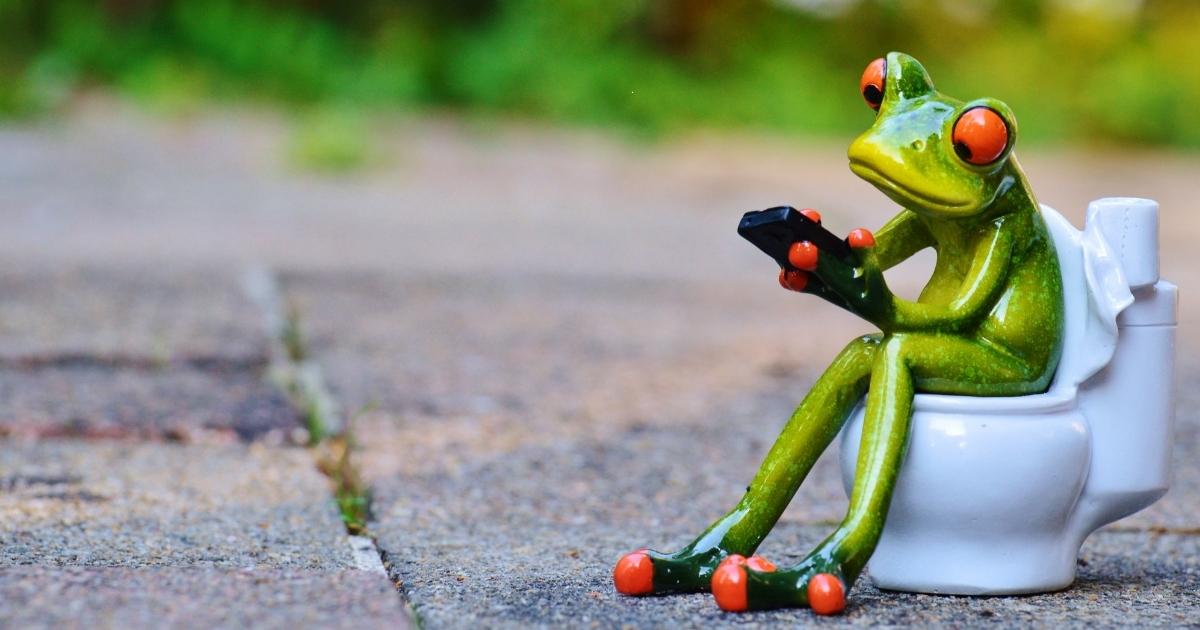 Funny Frog and Toad Names